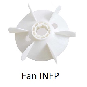 Fan INFP Picture